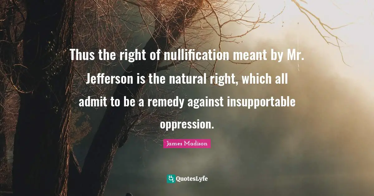 Thus the right of nullification meant by Mr. Jefferson is the natural right, which all admit to be a remedy against insupportable oppression.