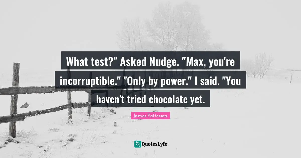 Nudge Quotes: "What test?" Asked Nudge. "Max, you're incorruptible." "Only by power." I said. "You haven't tried chocolate yet."