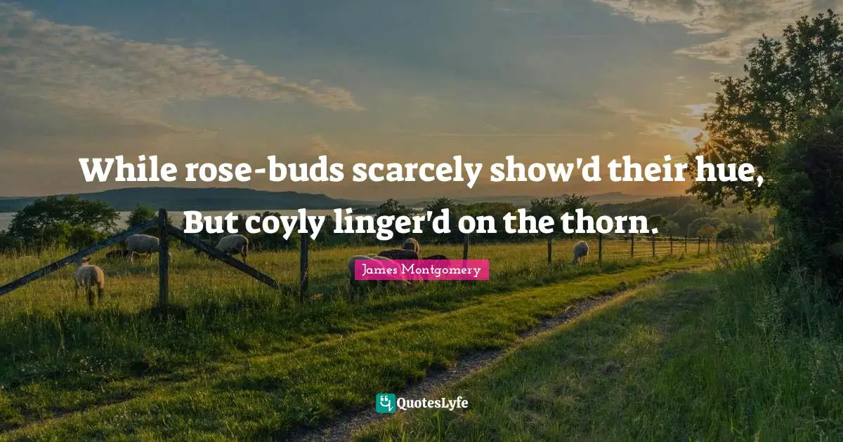 James Montgomery Quotes: "While rose-buds scarcely show'd their hue, But coyly linger'd on the thorn."