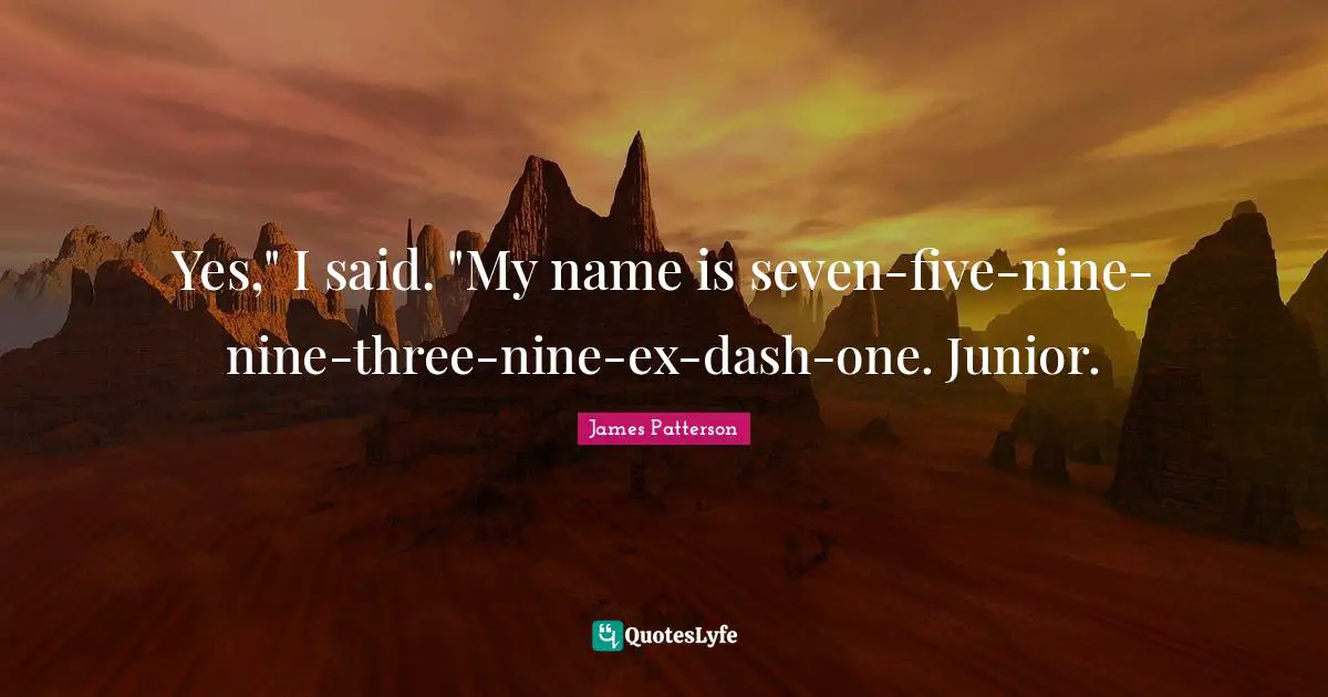 Yes," I said. "My name is seven-five-nine-nine-three-nine-ex-dash-one. Junior.