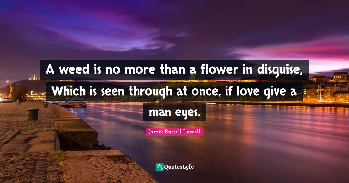 A weed is no more than a flower in disguise, Which is seen through at once, if love give a man eyes.