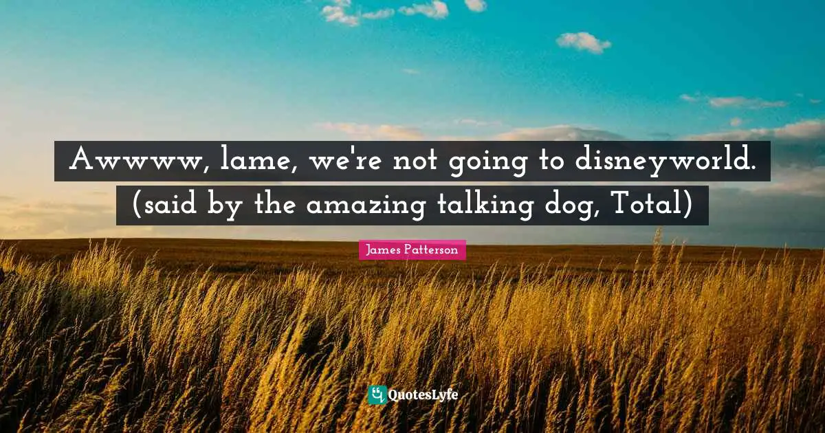 Awwww, lame, we're not going to disneyworld. (said by the amazing talking dog, Total)