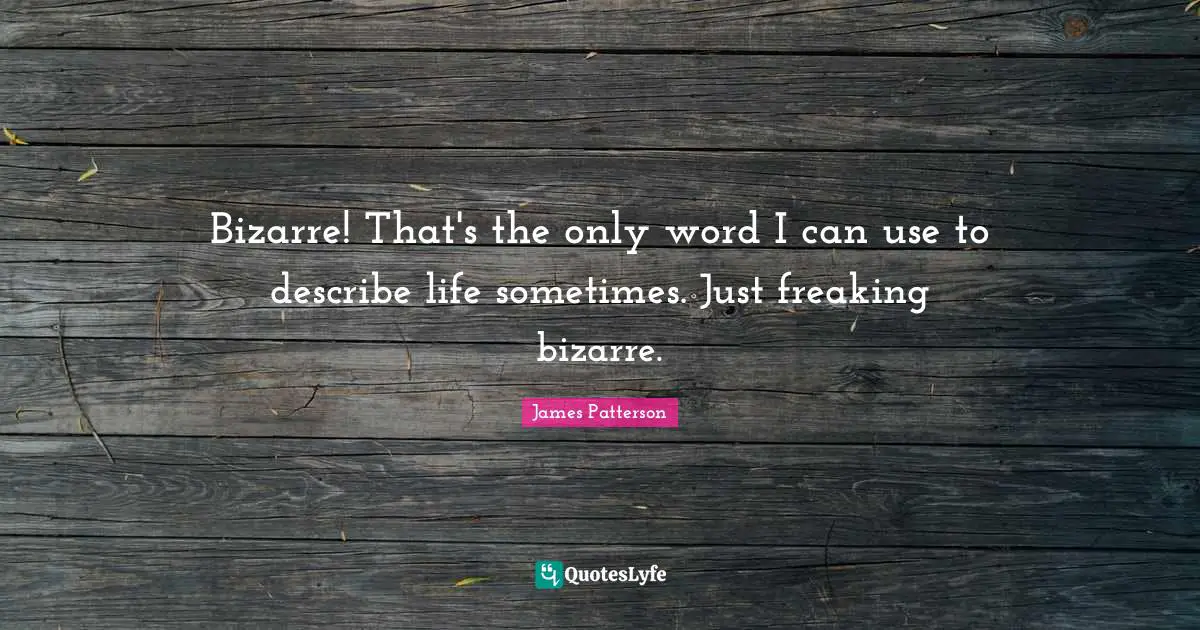 Bizarre! That's the only word I can use to describe life sometimes. Just freaking bizarre.