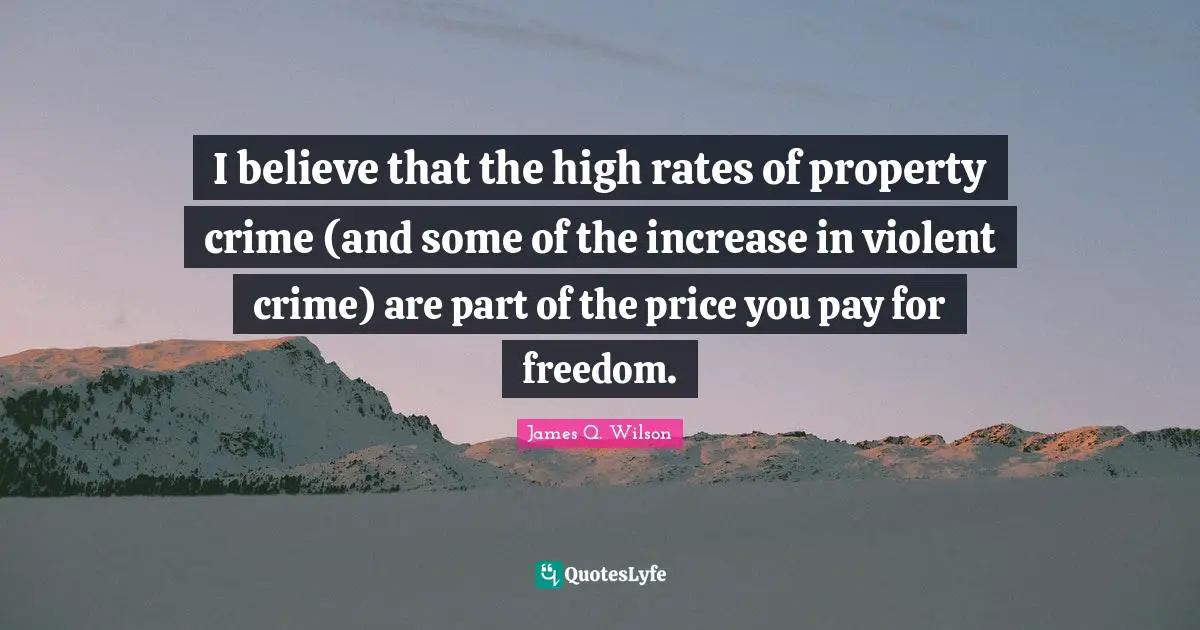 I believe that the high rates of property crime (and some of the increase in violent crime) are part of the price you pay for freedom.