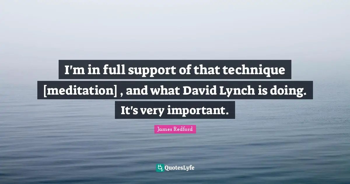 I'm in full support of that technique [meditation] , and what David Lynch is doing. It's very important.