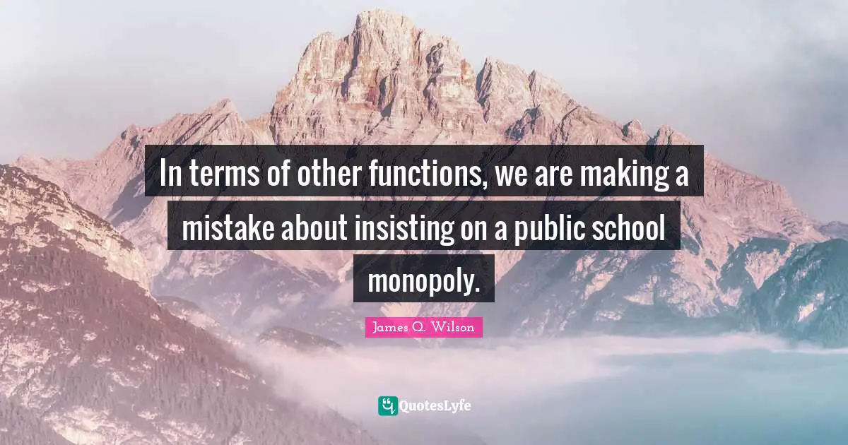 In terms of other functions, we are making a mistake about insisting on a public school monopoly.