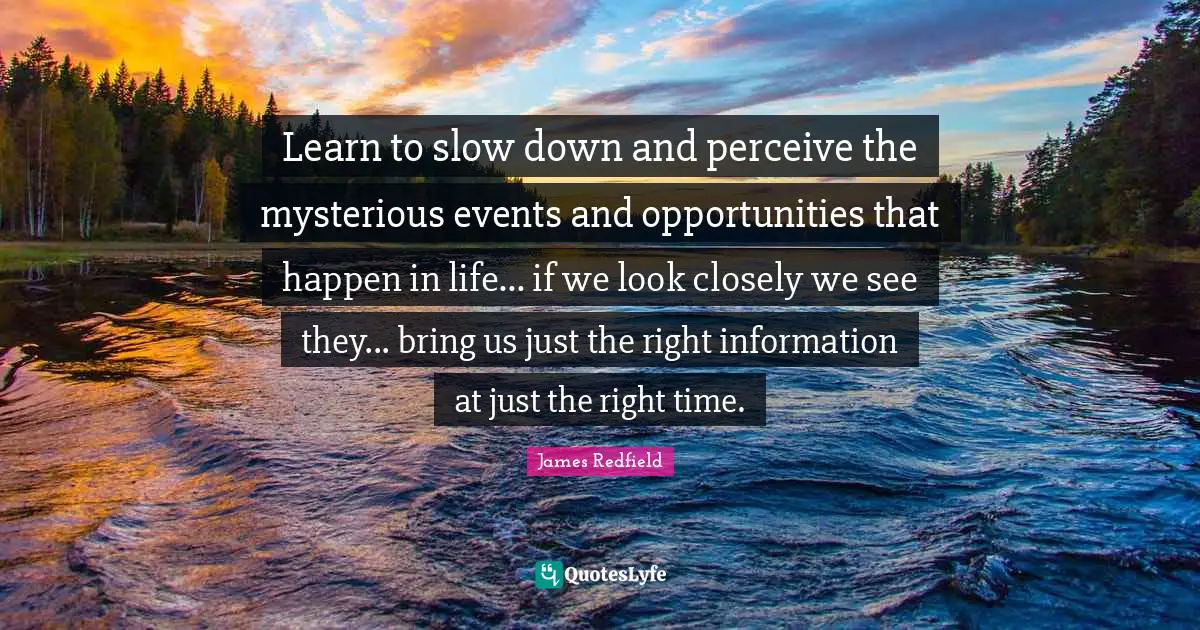 Learn to slow down and perceive the mysterious events and opportunities that happen in life... if we look closely we see they... bring us just the right information at just the right time.