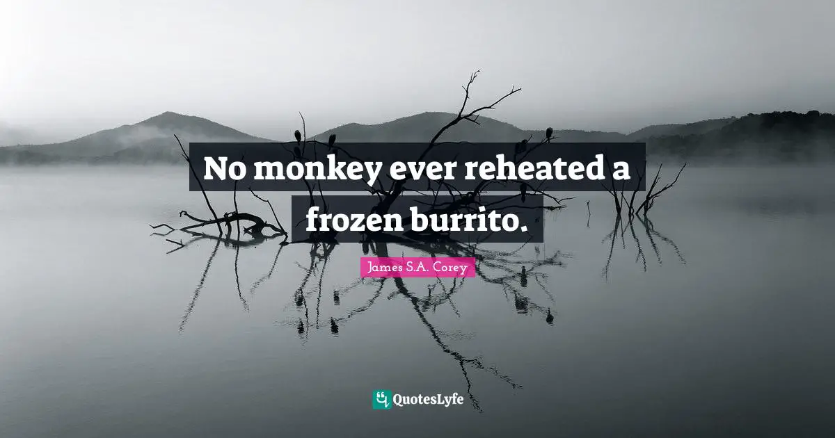 No monkey ever reheated a frozen burrito.