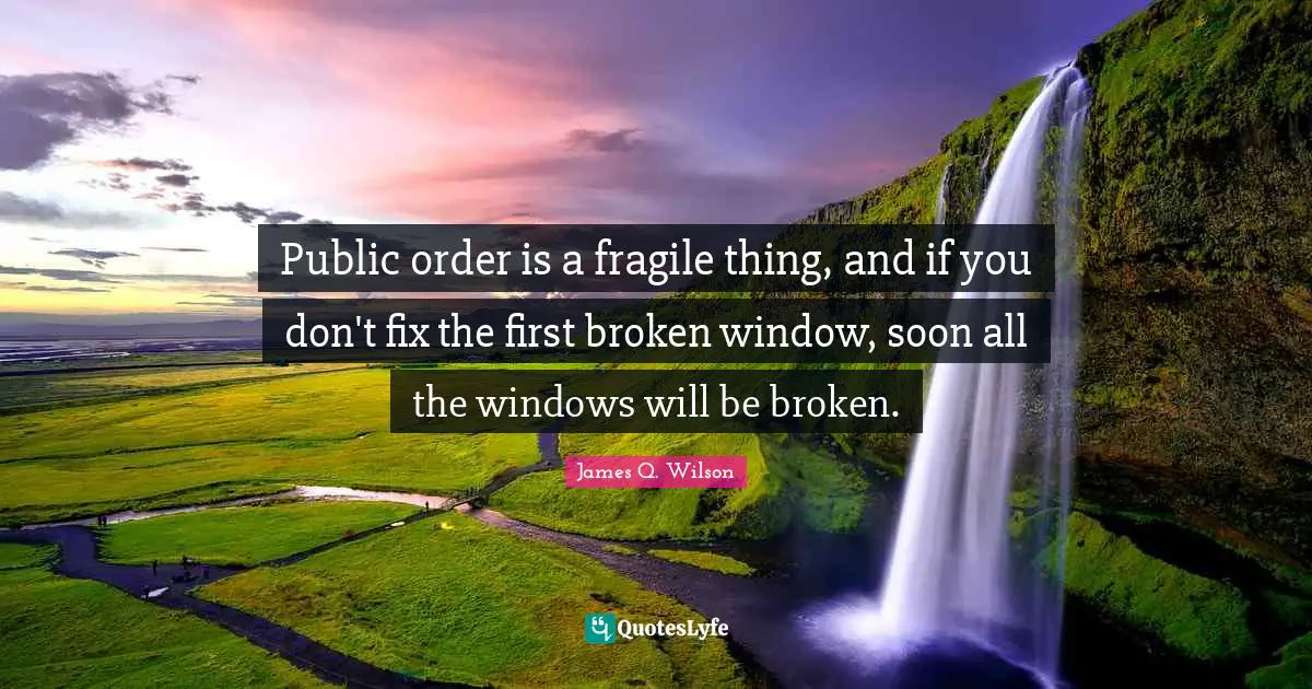 Public order is a fragile thing, and if you don't fix the first broken window, soon all the windows will be broken.