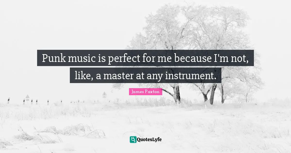 Punk music is perfect for me because I'm not, like, a master at any instrument.