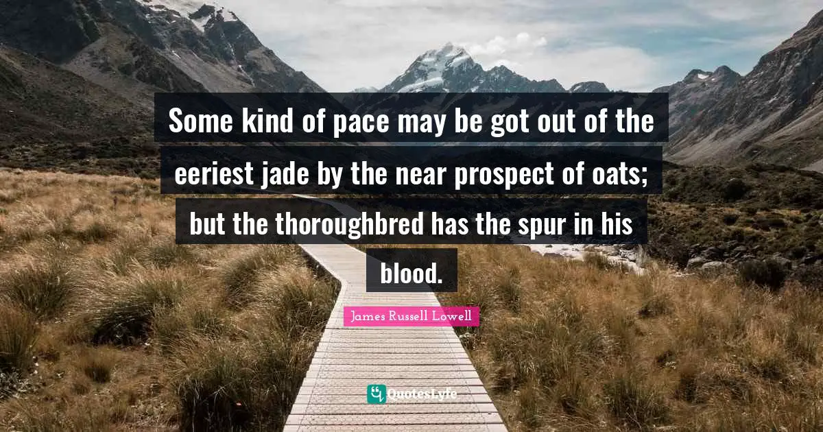 Pace Quotes: "Some kind of pace may be got out of the eeriest jade by the near prospect of oats; but the thoroughbred has the spur in his blood."