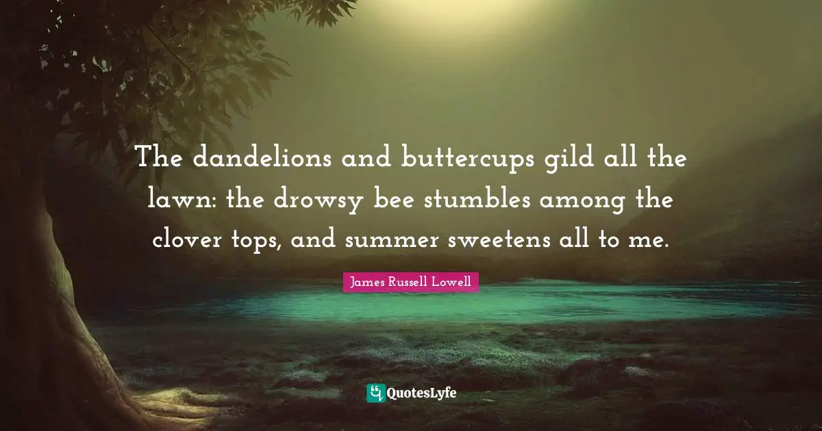 Dandelions Quotes: "The dandelions and buttercups gild all the lawn: the drowsy bee stumbles among the clover tops, and summer sweetens all to me."