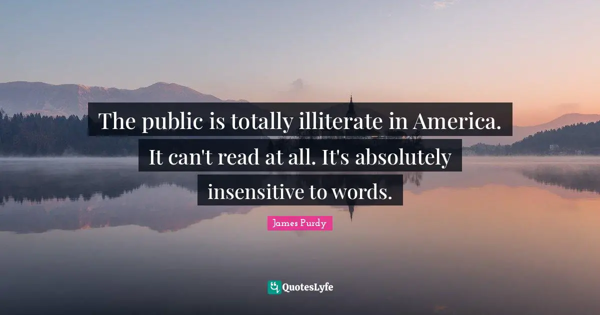 Insensitive Quotes: "The public is totally illiterate in America. It can't read at all. It's absolutely insensitive to words."