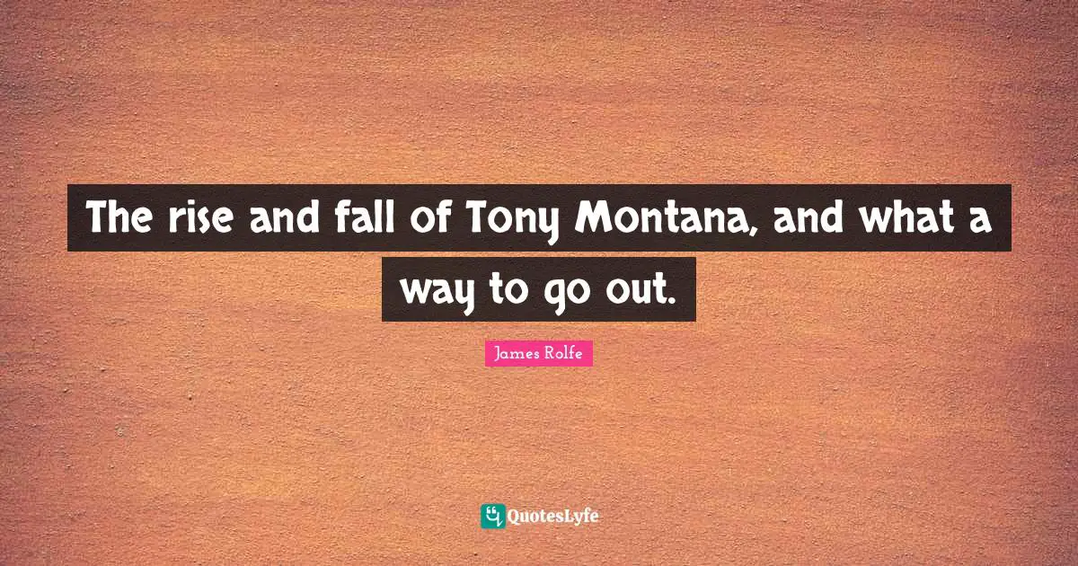 The rise and fall of Tony Montana, and what a way to go out.