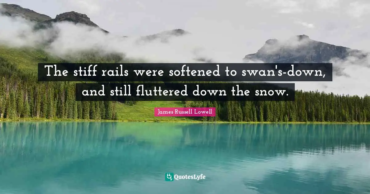 The stiff rails were softened to swan's-down, and still fluttered down the snow.