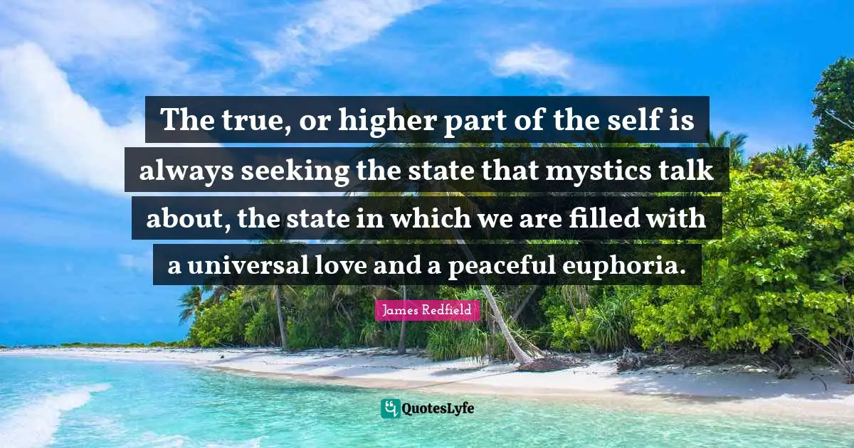 The true, or higher part of the self is always seeking the state that mystics talk about, the state in which we are filled with a universal love and a peaceful euphoria.