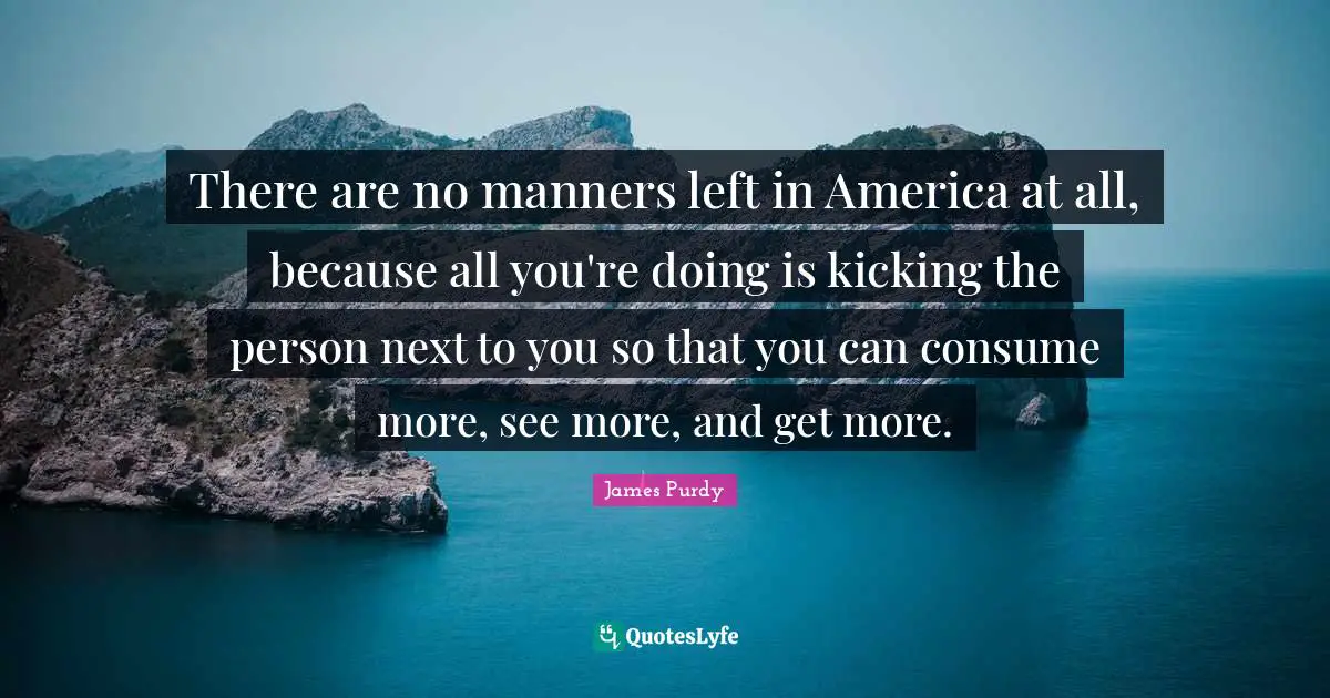 There are no manners left in America at all, because all you're doing is kicking the person next to you so that you can consume more, see more, and get more.