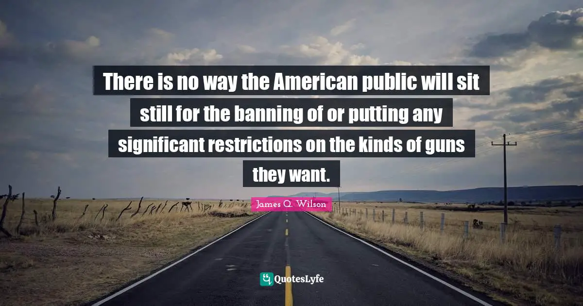 There is no way the American public will sit still for the banning of or putting any significant restrictions on the kinds of guns they want.