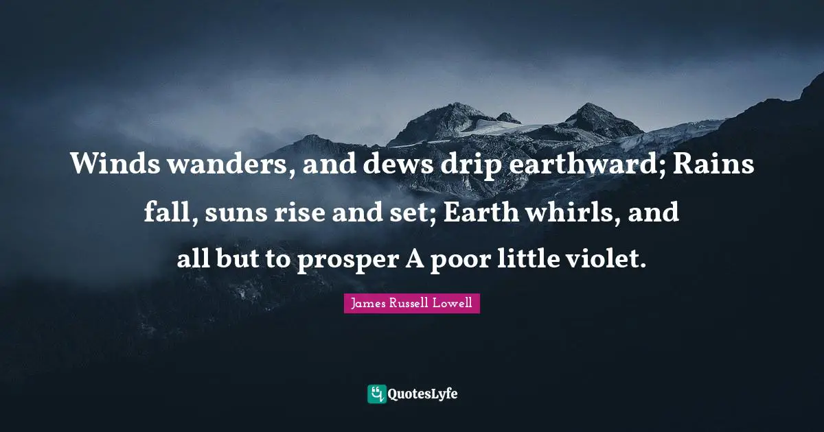 Winds wanders, and dews drip earthward; Rains fall, suns rise and set; Earth whirls, and all but to prosper A poor little violet.