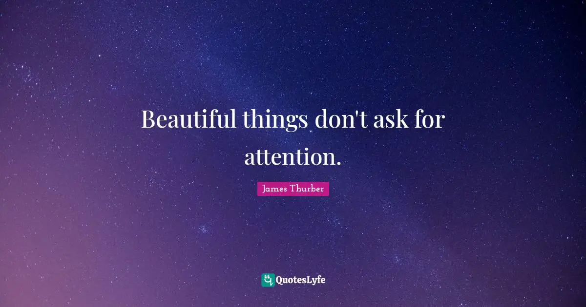 Beautiful Things Quotes: "Beautiful things don't ask for attention."