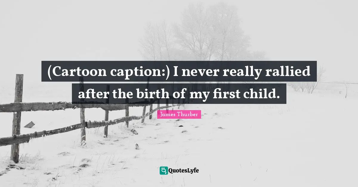 (Cartoon caption:) I never really rallied after the birth of my first child.