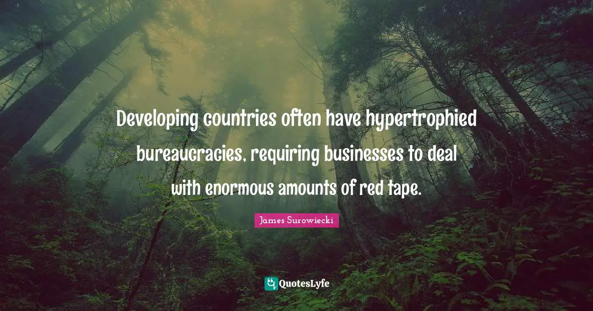 Developing countries often have hypertrophied bureaucracies, requiring businesses to deal with enormous amounts of red tape.
