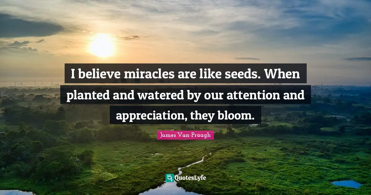I believe miracles are like seeds. When planted and watered by our attention and appreciation, they bloom.