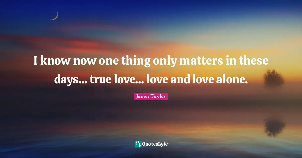 James Taylor Quotes: "I know now one thing only matters in these days... true love... love and love alone."