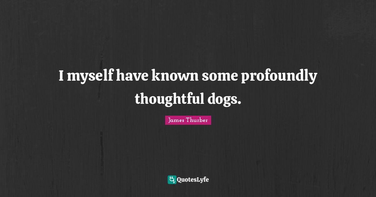 I myself have known some profoundly thoughtful dogs.
