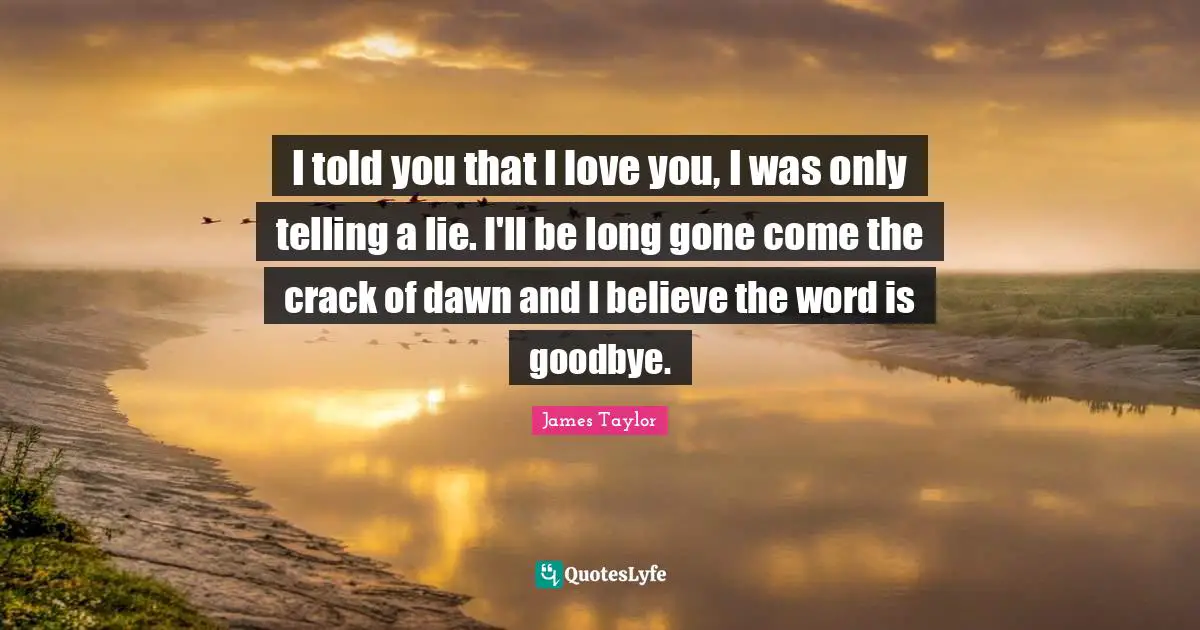 I told you that I love you, I was only telling a lie. I'll be long gone come the crack of dawn and I believe the word is goodbye.