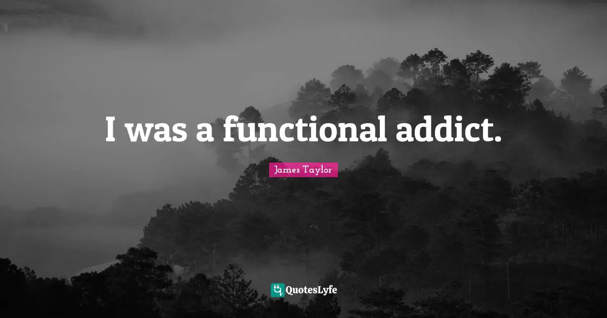 James Taylor Quotes: "I was a functional addict."