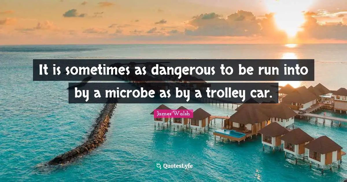 It is sometimes as dangerous to be run into by a microbe as by a trolley car.