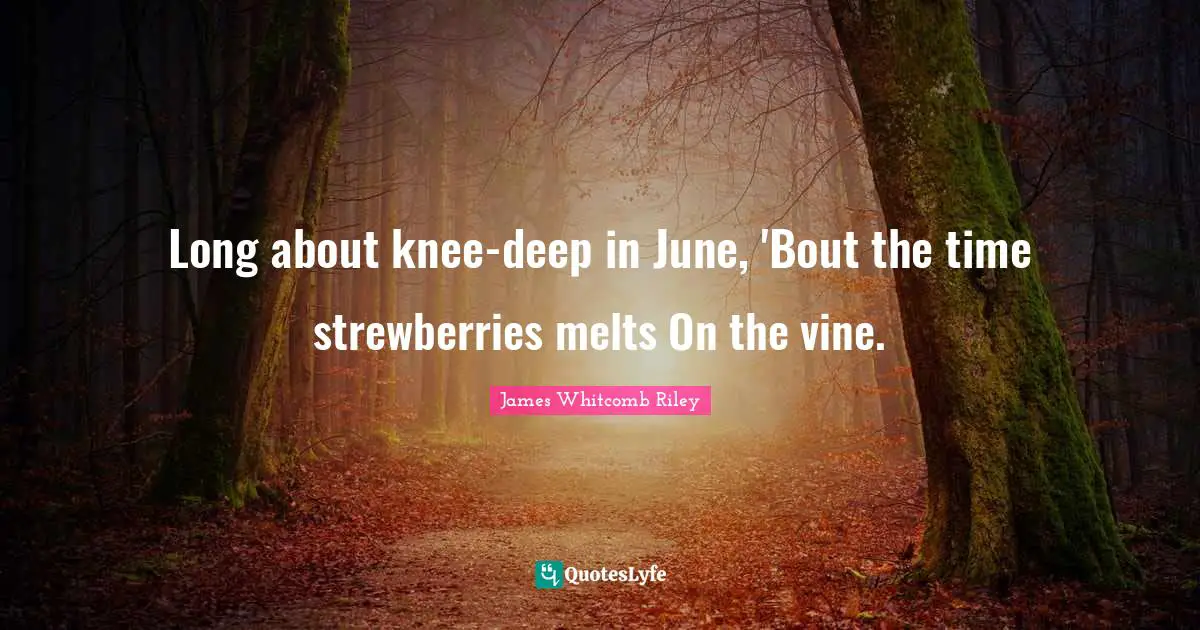 Long about knee-deep in June, 'Bout the time strewberries melts On the vine.