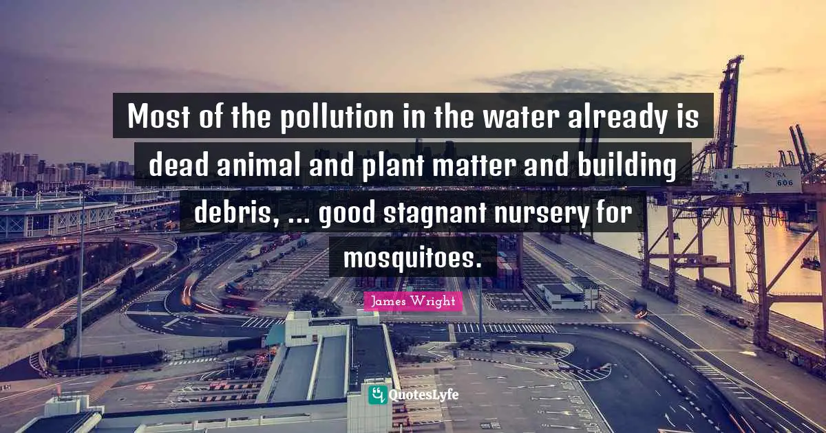 Debris Quotes: "Most of the pollution in the water already is dead animal and plant matter and building debris, ... good stagnant nursery for mosquitoes."