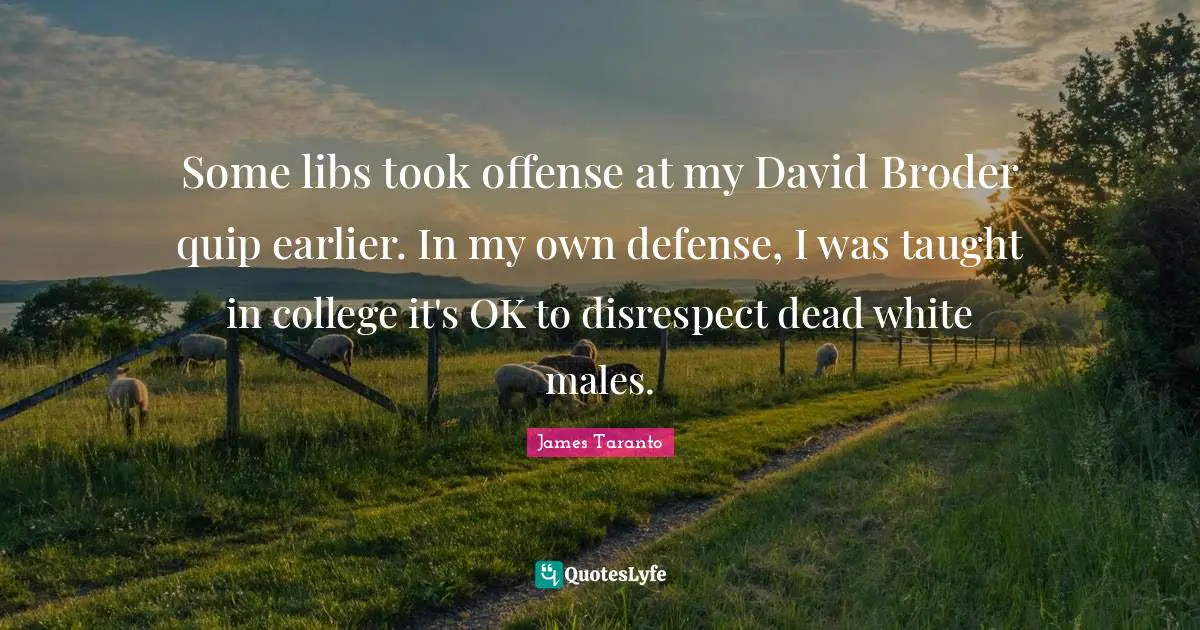 Some libs took offense at my David Broder quip earlier. In my own defense, I was taught in college it's OK to disrespect dead white males.
