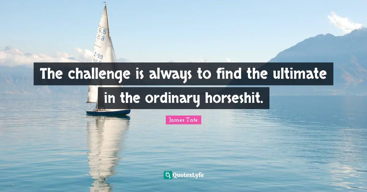 The challenge is always to find the ultimate in the ordinary horseshit.
