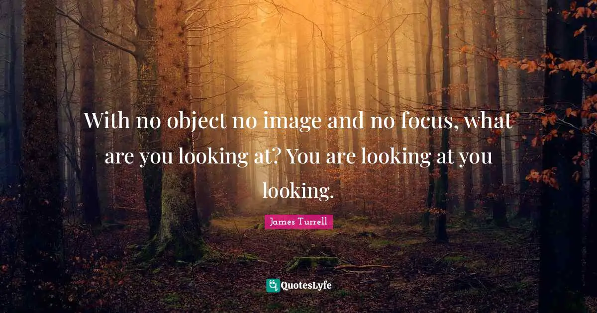 Focus Quotes: "With no object no image and no focus, what are you looking at? You are looking at you looking."
