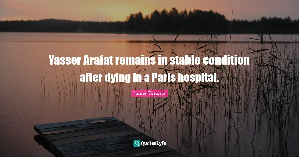 Yasser Arafat remains in stable condition after dying in a Paris hospital.