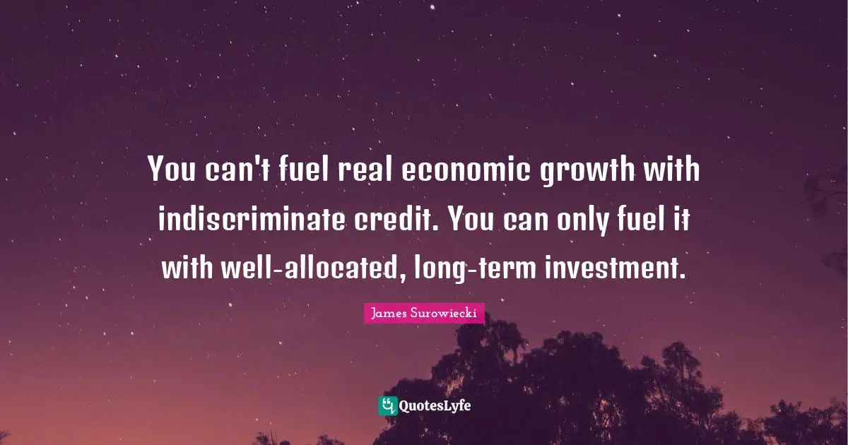 You can't fuel real economic growth with indiscriminate credit. You can only fuel it with well-allocated, long-term investment.