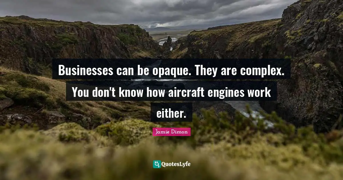 Businesses can be opaque. They are complex. You don't know how aircraft engines work either.