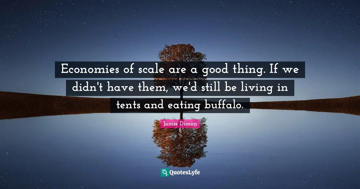 Economies of scale are a good thing. If we didn't have them, we'd still be living in tents and eating buffalo.