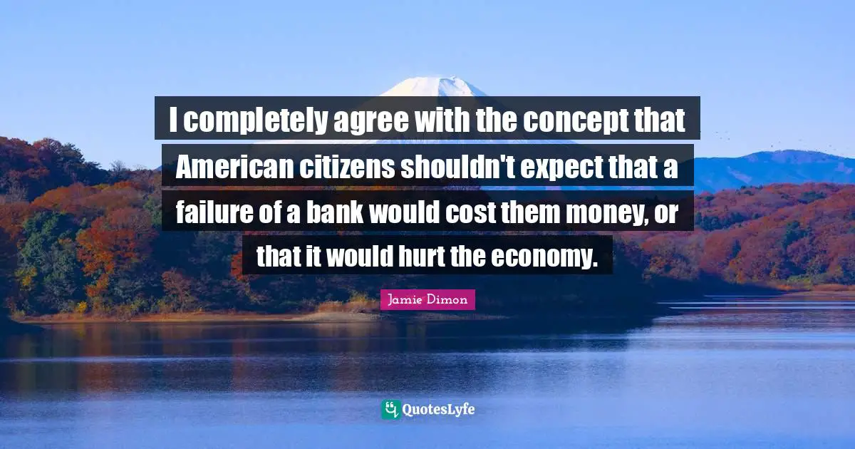 I completely agree with the concept that American citizens shouldn't expect that a failure of a bank would cost them money, or that it would hurt the economy.