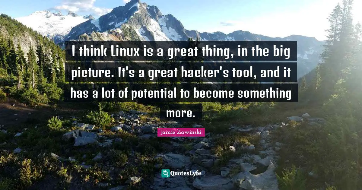 I think Linux is a great thing, in the big picture. It's a great hacker's tool, and it has a lot of potential to become something more.