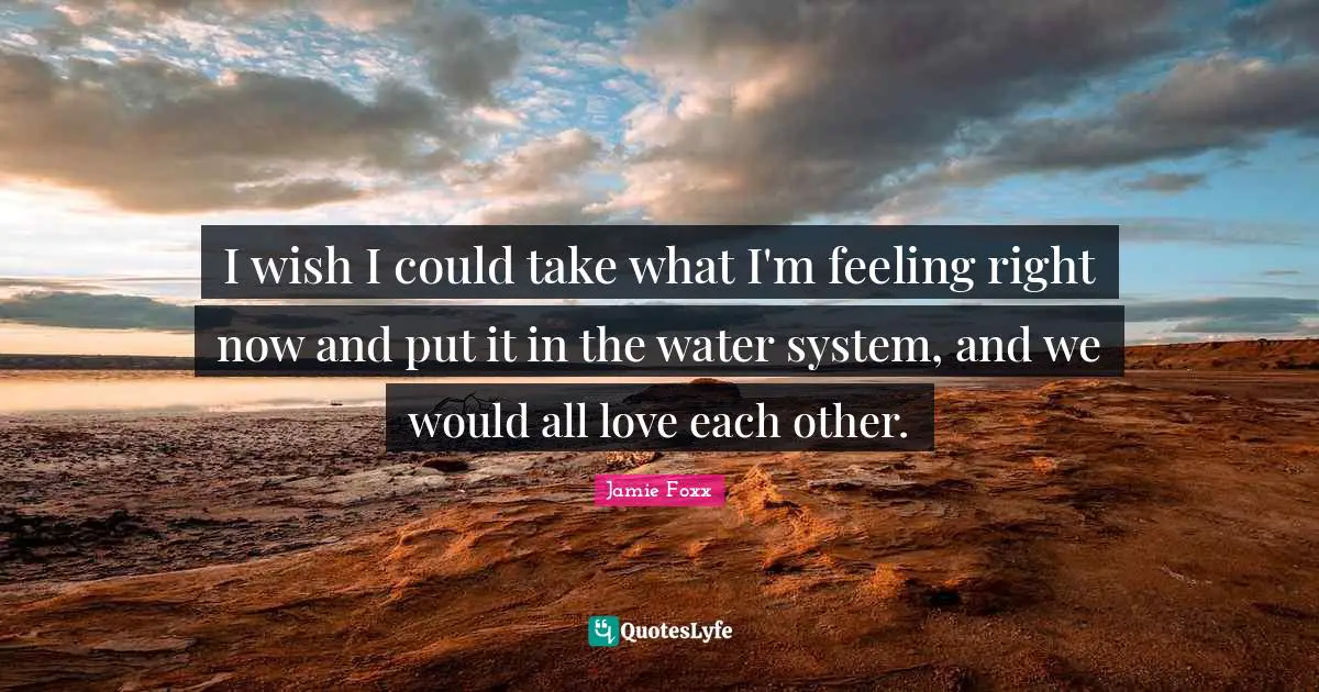 I wish I could take what I'm feeling right now and put it in the water system, and we would all love each other.