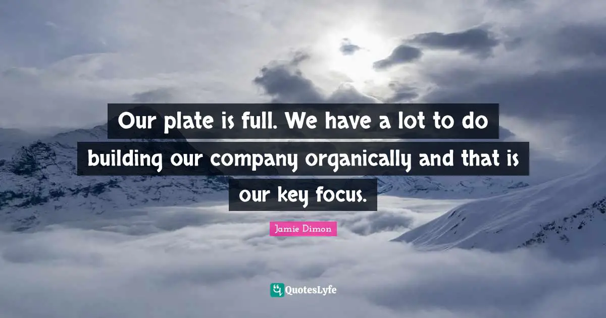 Our plate is full. We have a lot to do building our company organically and that is our key focus.