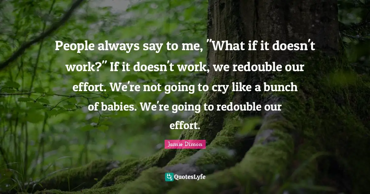 People always say to me, "What if it doesn't work?" If it doesn't work, we redouble our effort. We're not going to cry like a bunch of babies. We're going to redouble our effort.