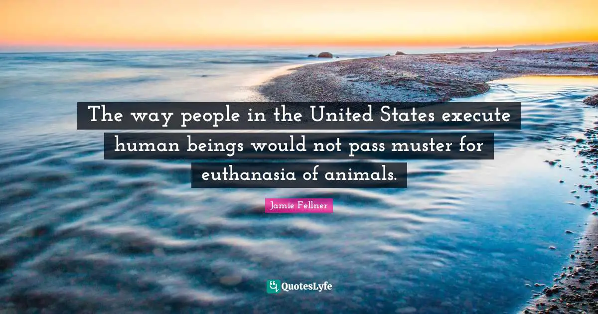 Euthanasia Quotes: "The way people in the United States execute human beings would not pass muster for euthanasia of animals."