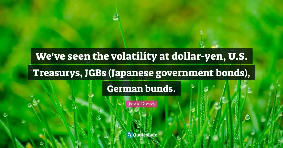 We've seen the volatility at dollar-yen, U.S. Treasurys, JGBs (Japanese government bonds), German bunds.