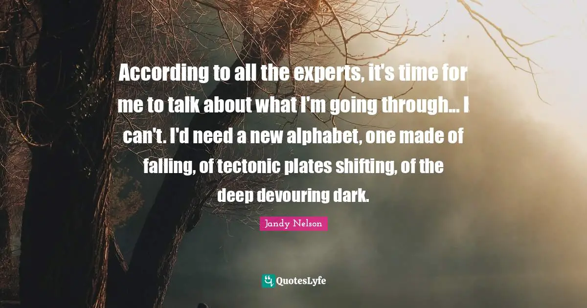 According to all the experts, it's time for me to talk about what I'm going through... I can't. I'd need a new alphabet, one made of falling, of tectonic plates shifting, of the deep devouring dark.