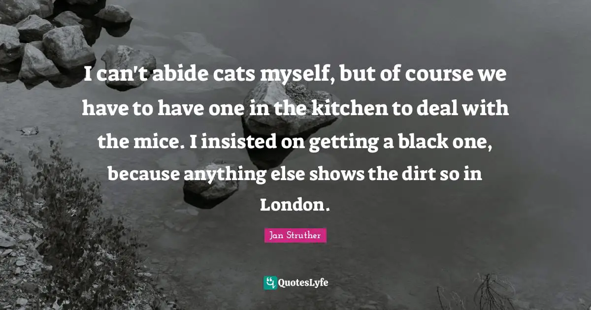 I can't abide cats myself, but of course we have to have one in the kitchen to deal with the mice. I insisted on getting a black one, because anything else shows the dirt so in London.